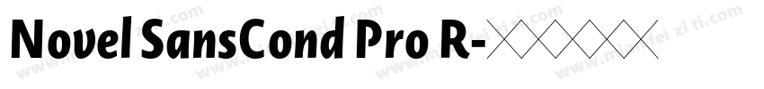 Novel SansCond Pro R字体转换
